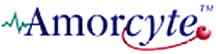 Portfolio company