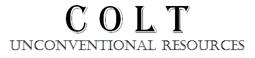 Portfolio company